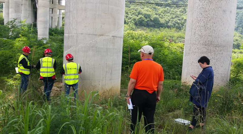 1585017566634125.png image.png