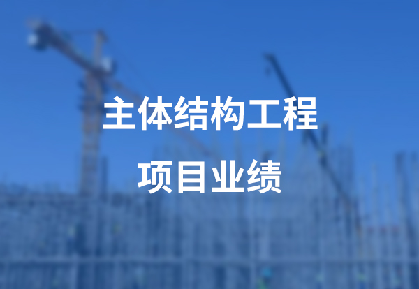 主体结构工程项目案例展示