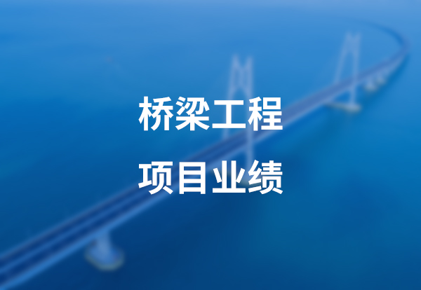 桥梁工程项目案例展示